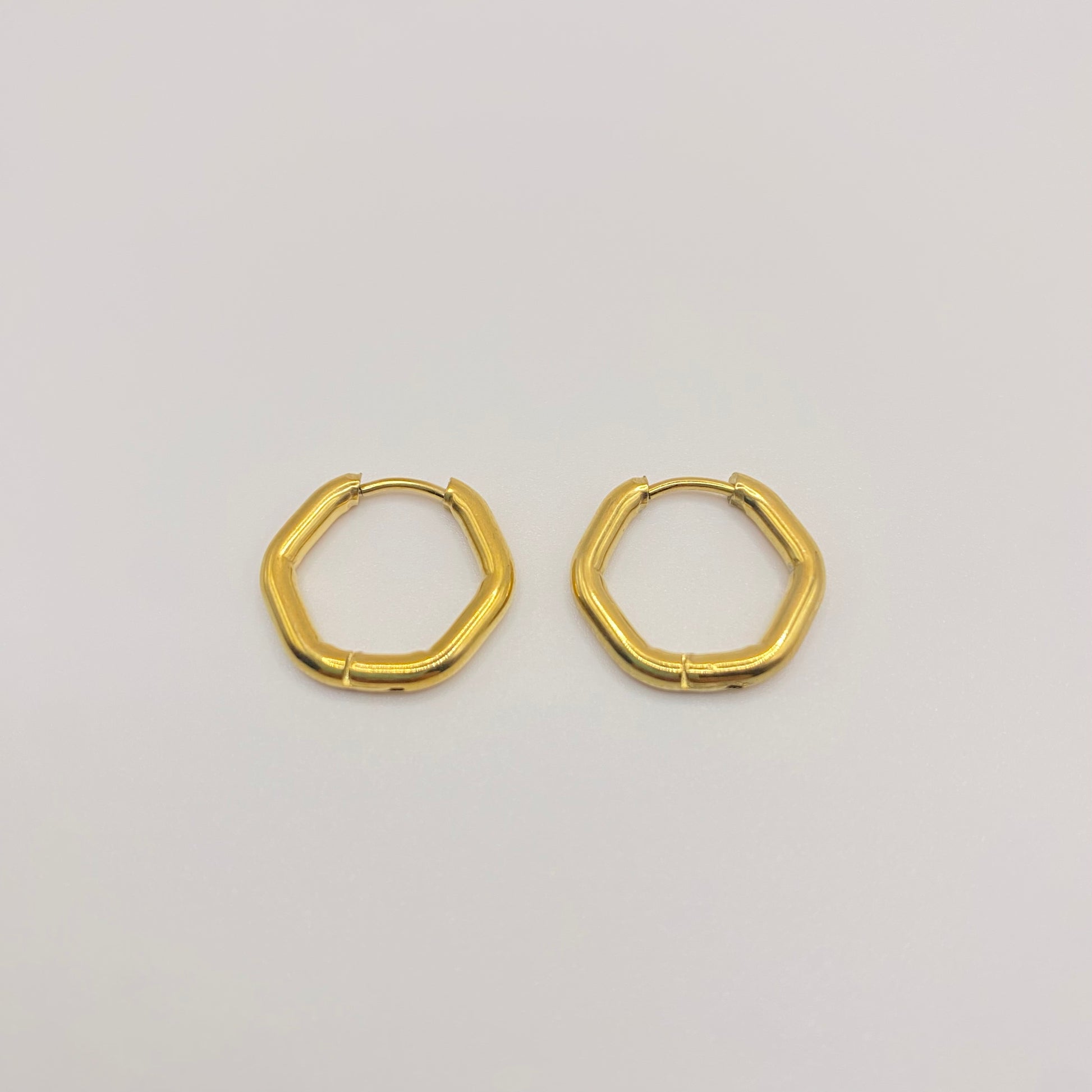 Hexagon hoop Earrings